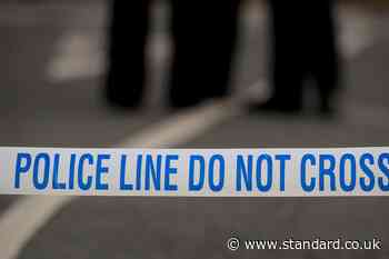 Murder probe as man, 55, dies after being bitten by dog on footpath