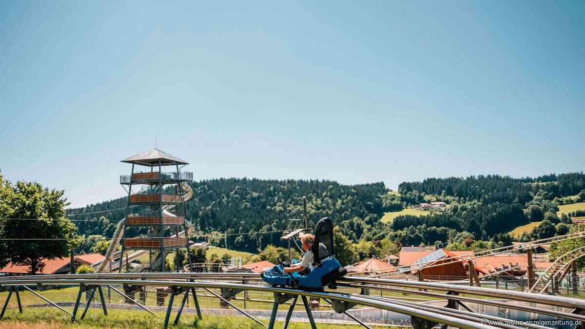 Ausflug in den Bayerischen Wald: Rodeln, wandern und mehr
