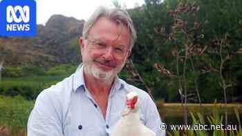 Live: Sam Neill wins posthumous Best Lead Actor Logie