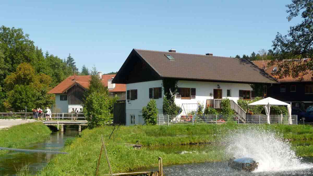 Forellen bekommen 30 bis 50 Prozent weniger Futter wegen Hitze