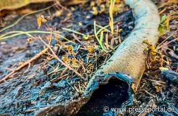 FW Kreis Soest: Waldbrand am Möhnesee - Feuer aus / Abschlussmeldung