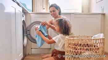 Parents amazed after four-year-old shows off clever and 'accessible' laundry hack