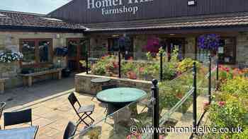 North East farm shop with kids play area that sells top pies and 'better than Greggs' pasties