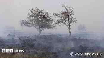 Firefighters battle wildfire tearing through Belgian nature reserve