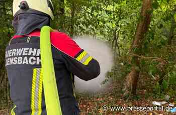 FW Allensbach: B1 Grillstelle rauchend