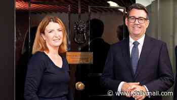 Louise Haigh signed off on 'needless' emergency wildfire alert that startled millions of people