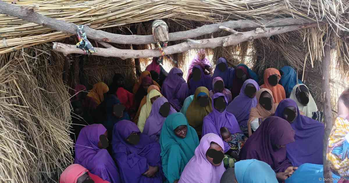 We crave Western education, Borno girls who married as teenagers seek govt support