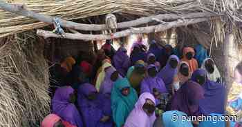 We crave Western education, Borno girls who married as teenagers seek govt support