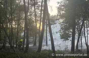 FW Alpen: Überörtliche Hilfe bei Waldbrand in Sonsbeck - Labbeck