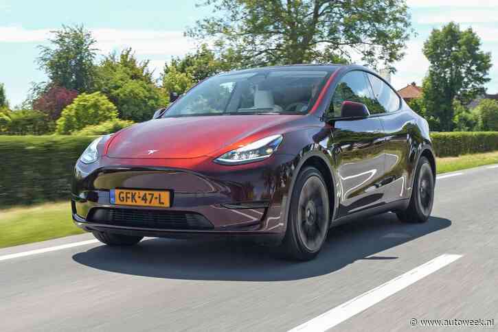 Eerste generatie Tesla Model Y als occasion: Betrouwbaar, praktisch en grote actieradius