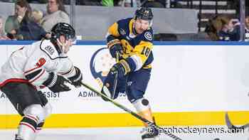 McLean rejoins Admirals