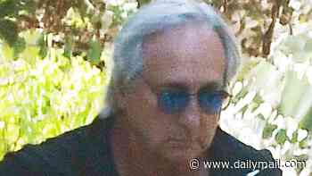 Famous playwright-actor, 68, with connection to Bruce Springsteen steps out in LA... can you guess who?