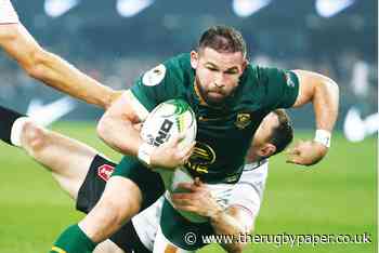 Neil de Kock: All Blacks getting in the mood to take on the Springboks challenge