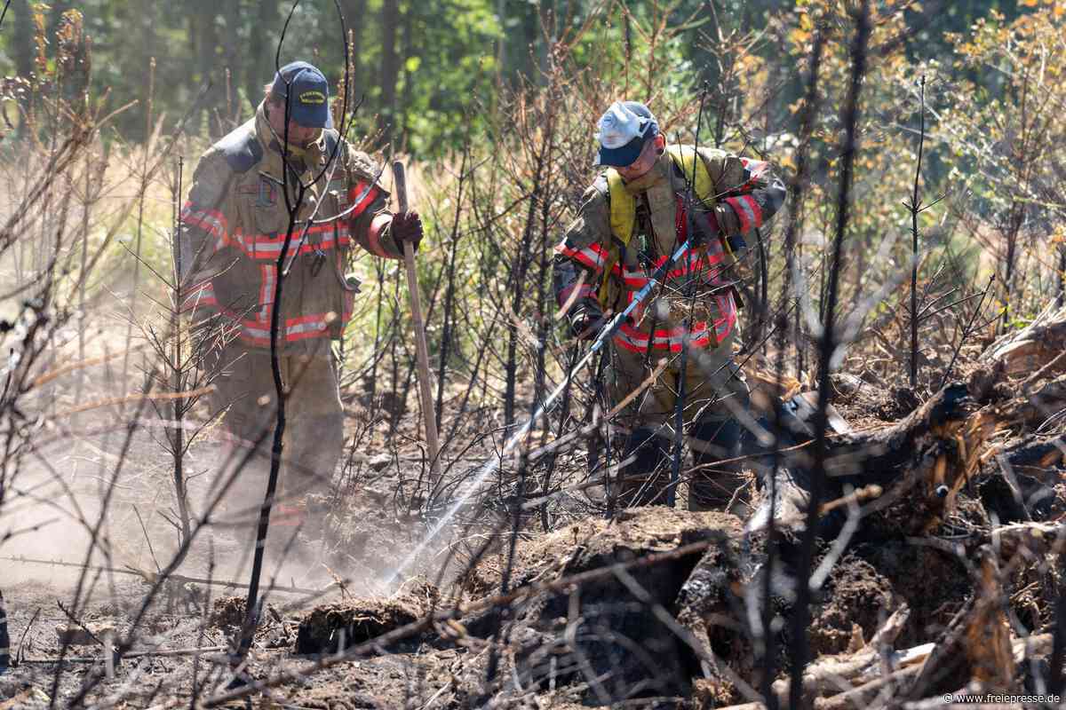 Großbrand im „Schwarzen Holz“ bei Plauen: So hat sich die Lage am Wochenende entwickelt