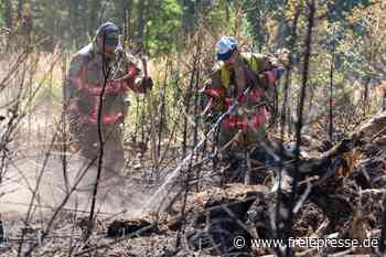 Großbrand im „Schwarzen Holz“ bei Plauen: So hat sich die Lage am Wochenende entwickelt
