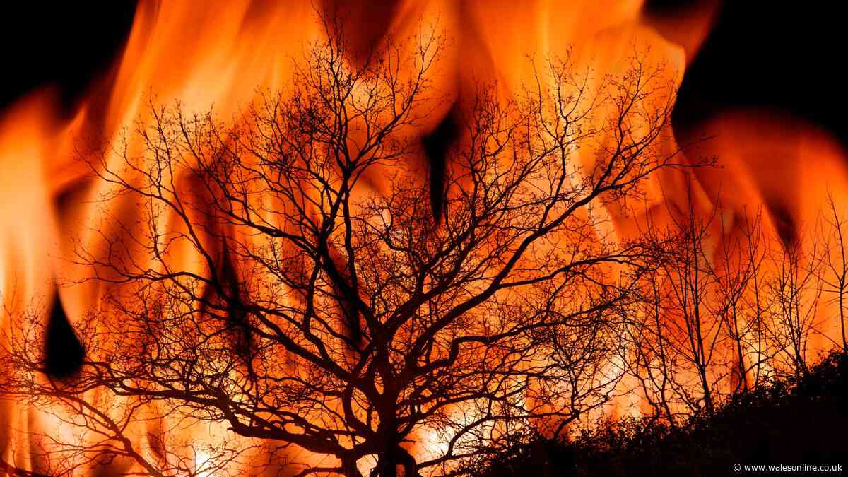 What holidaymakers travelling to countries with wildfires need to know