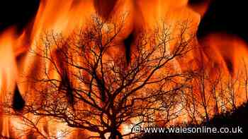 What holidaymakers travelling to countries with wildfires need to know