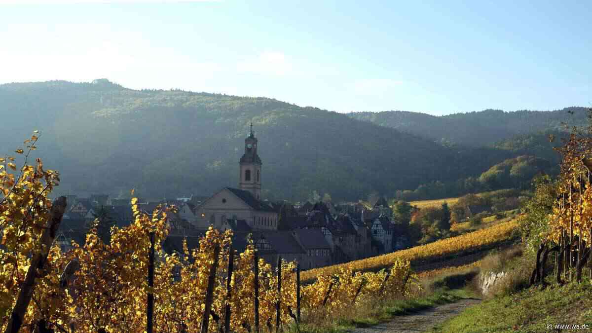 Ein Stück Riviera auf kleinstem Raum: Wo Deutschlands Mini-Weinroute liegt