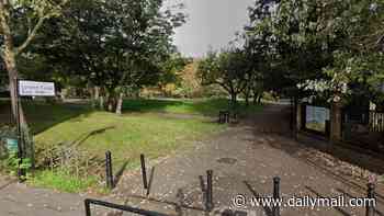 Man charged with arson after ten fires started in east London in tinderbox conditions
