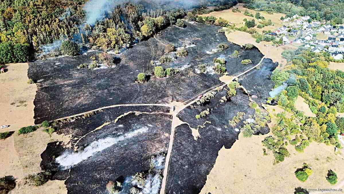 Überblick: Waldbrände in Deutschland