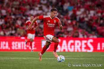 Report: Newcastle set to sign Benfica's Dedic