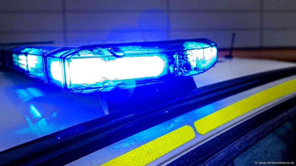Murder investigation launched in West Yorkshire after man bitten by dog dies