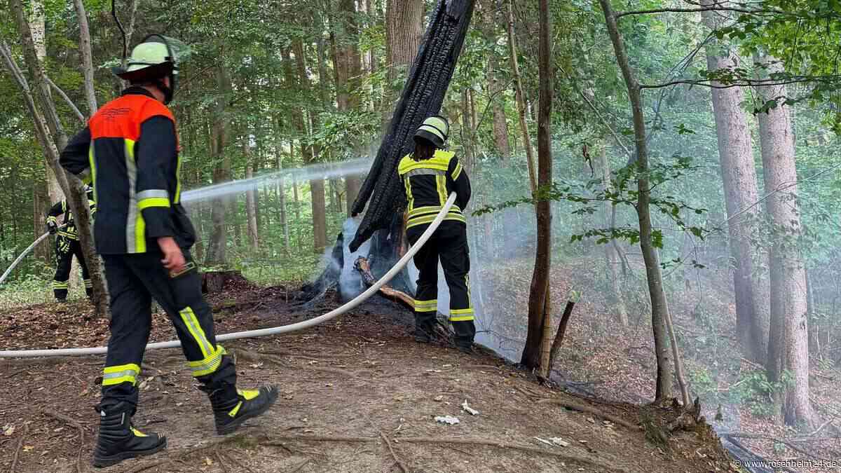 Brennender Baum in Waldgebiet südlich von Gabersee ruft Feuerwehr auf den Plan