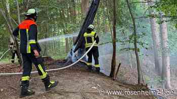 Brennender Baum in Waldgebiet südlich von Gabersee ruft Feuerwehr auf den Plan