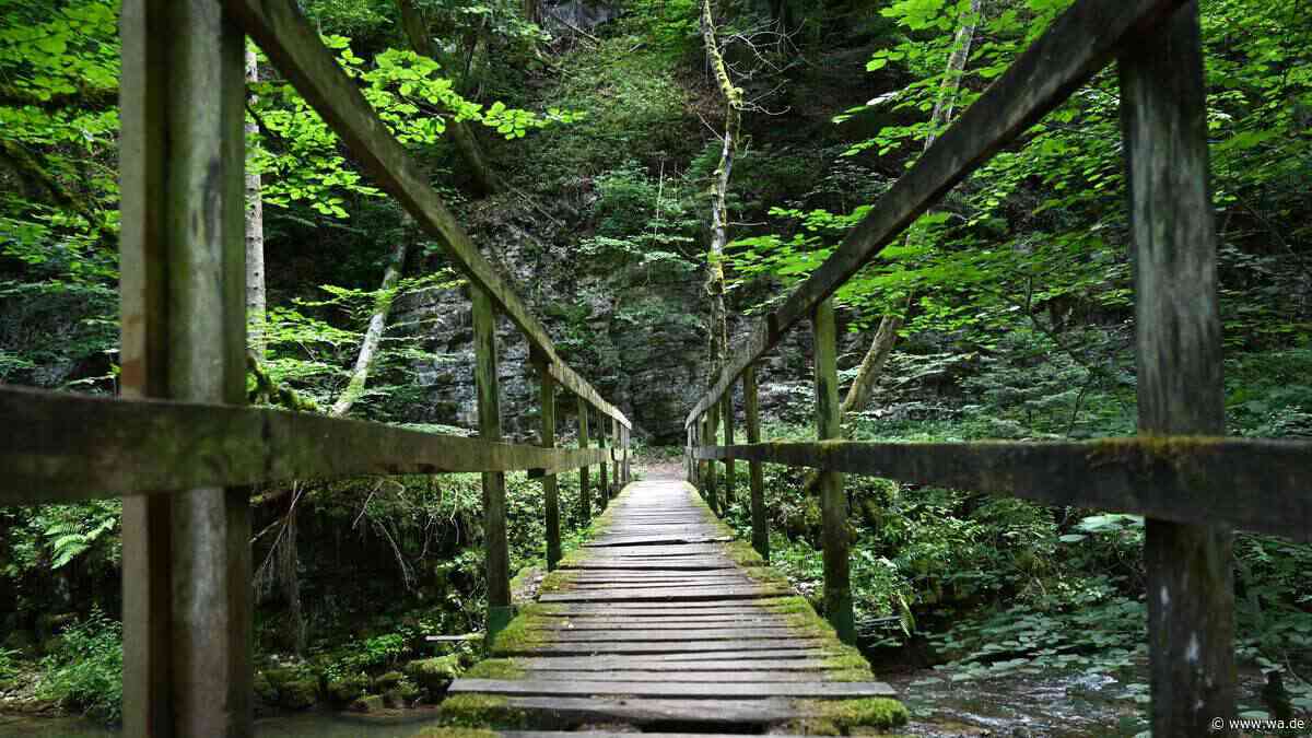 Sie können den Schwarzwald von Norden nach Süden auf diesem Wanderweg erkunden, der seit 125 Jahren besteht