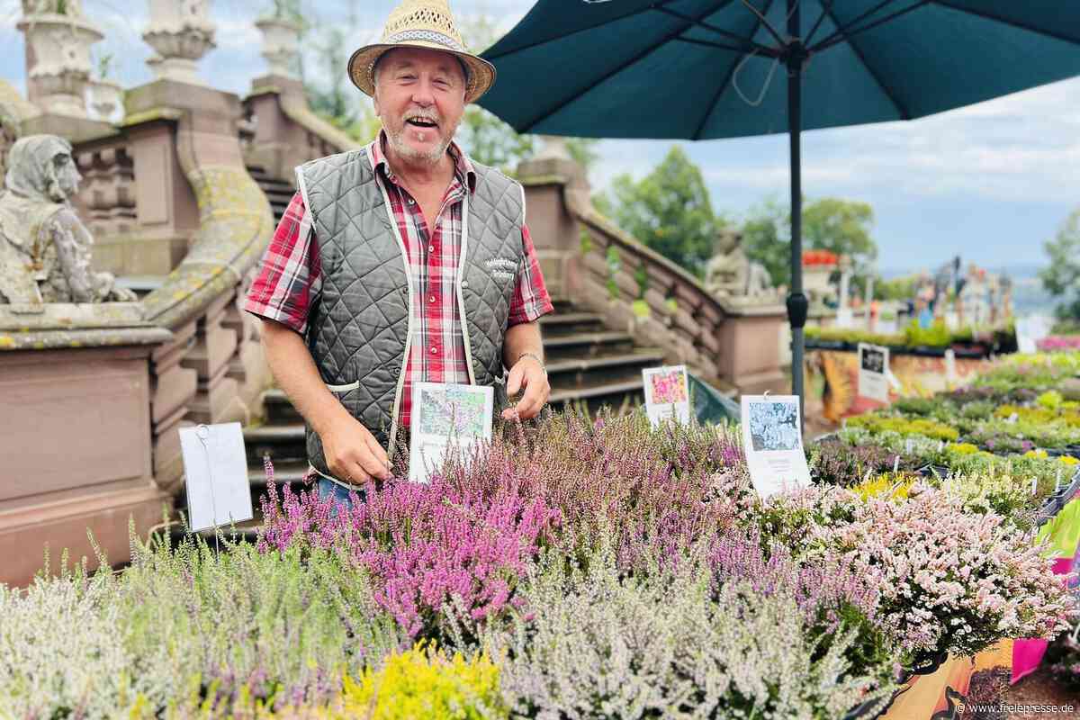 In Lichtenwalde trotzen Gartenträume der Sommerhitze