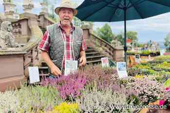 In Lichtenwalde trotzen Gartenträume der Sommerhitze