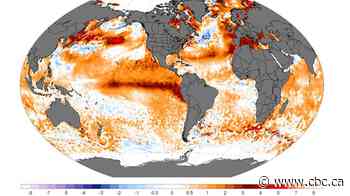 Meteorologists are forecasting a 'super' El Niño. What does that mean for B.C.?