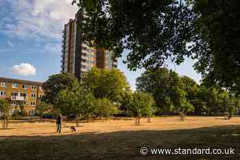 Man charged with arson after 'around 10' fires started in popular London park