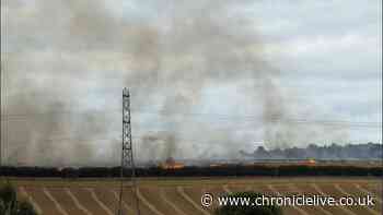 People urged to avoid area as firefighters tackle blaze at North East park