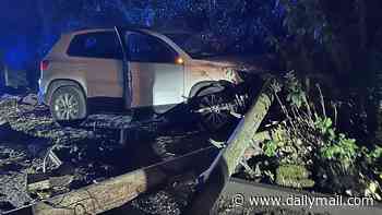 Family left without electricity after 12-year-old boy joyriding his mother's VW Tiguan crashes into telegraph pole outside their home