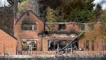 'Apocalyptic' aftermath of Stourbridge wildfire revealed as residents return to their homes on millionaires' row after they were destroyed by inferno