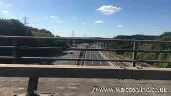 M4 forced to closed in both directions due to to sheep on the motorway