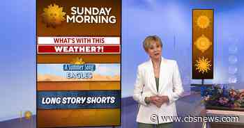 8/16: Sunday Morning