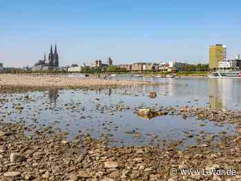 Rheinpegel Köln erreicht historischen Tiefstand