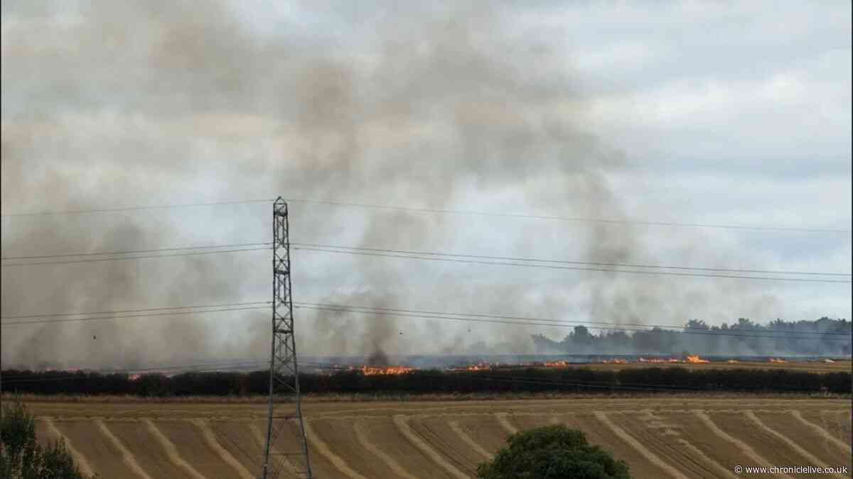 People urged to avoid area as firefighters tackle blaze near North East park