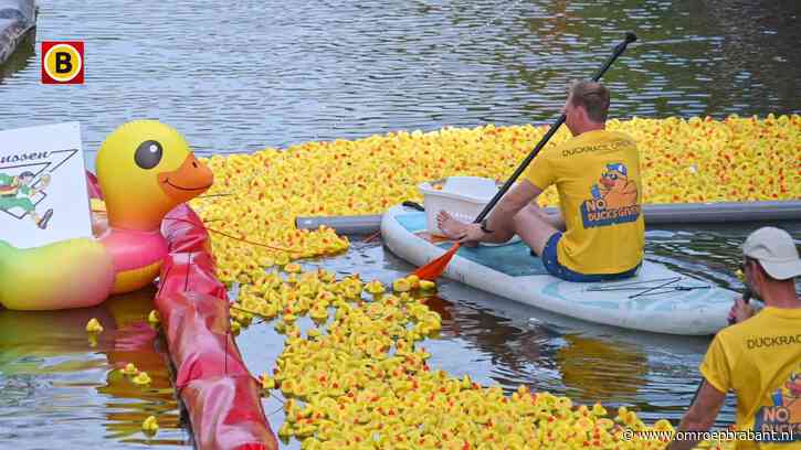 Duizenden badeendjes racen door de Bredase haven voor het goede doel