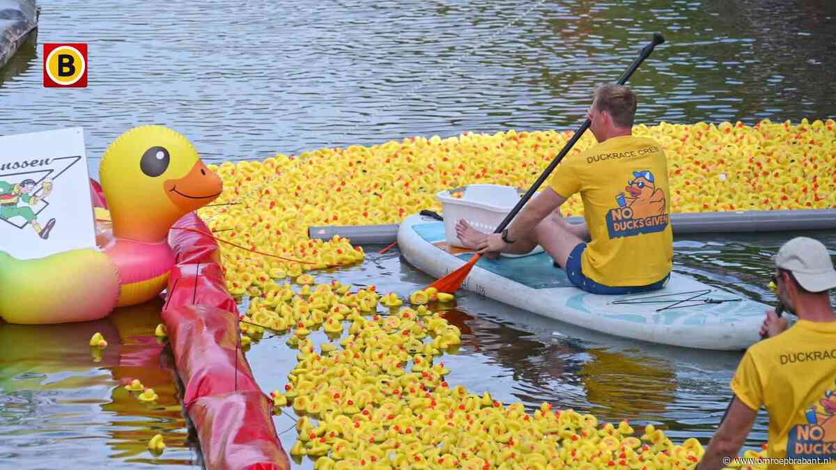 Duizenden badeendjes racen door de Bredase haven voor het goede doel