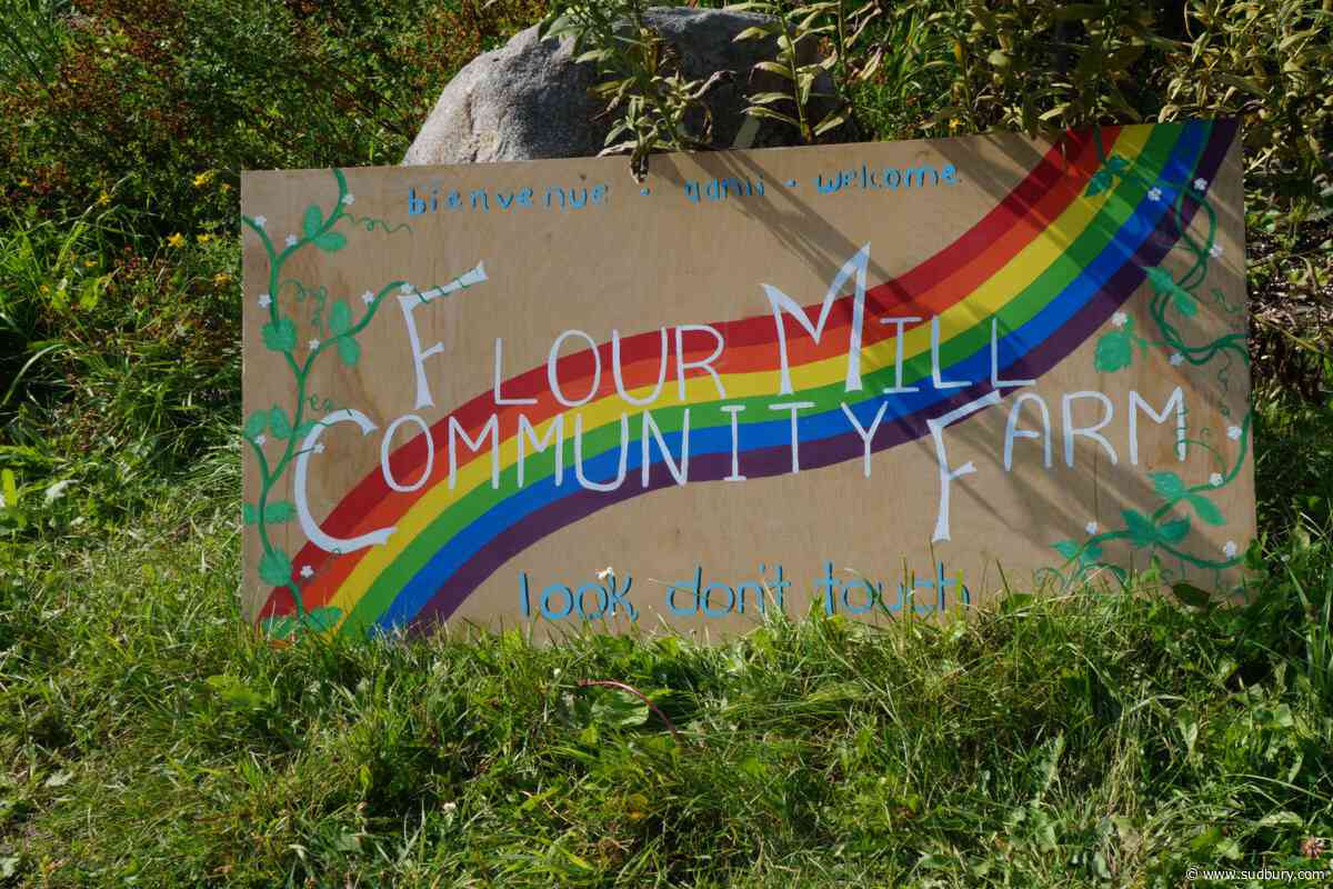 Flour Mill Farm is celebrating 10 years by growing more than ever