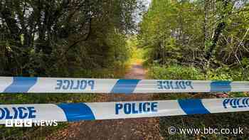 Murder inquiry after man bitten by dog dies