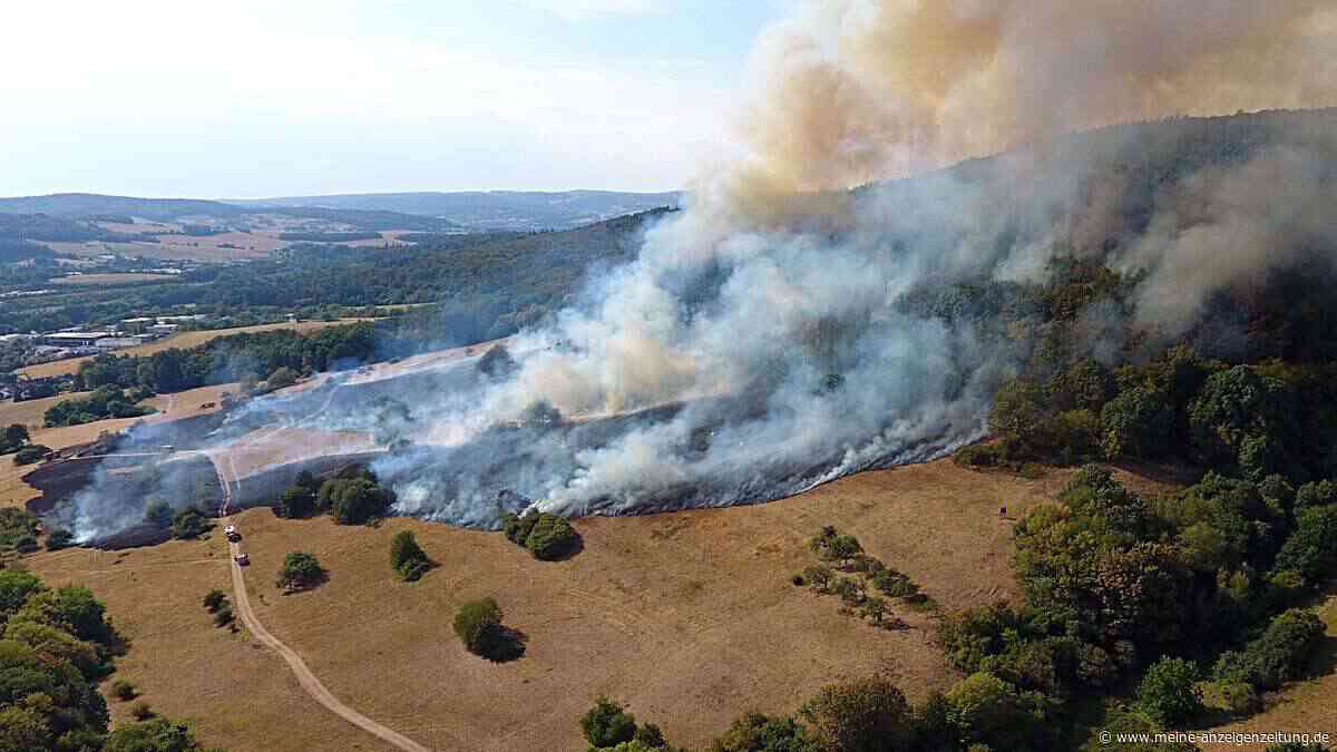 Bayern kämpft gegen Flammenwelle: Hunderte Einsatzkräfte bei Waldbränden im Dauereinsatz
