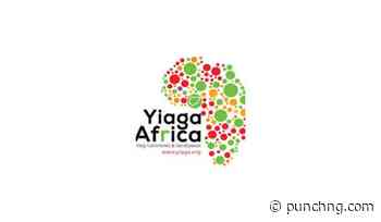 Osun poll: Yiaga urges BVAS audit, praises voters’ vigilance