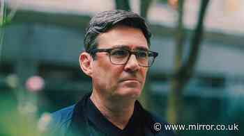 Tear up Tory apprenticeship rules to get 'Neets' into work, Andy Burnham to be told