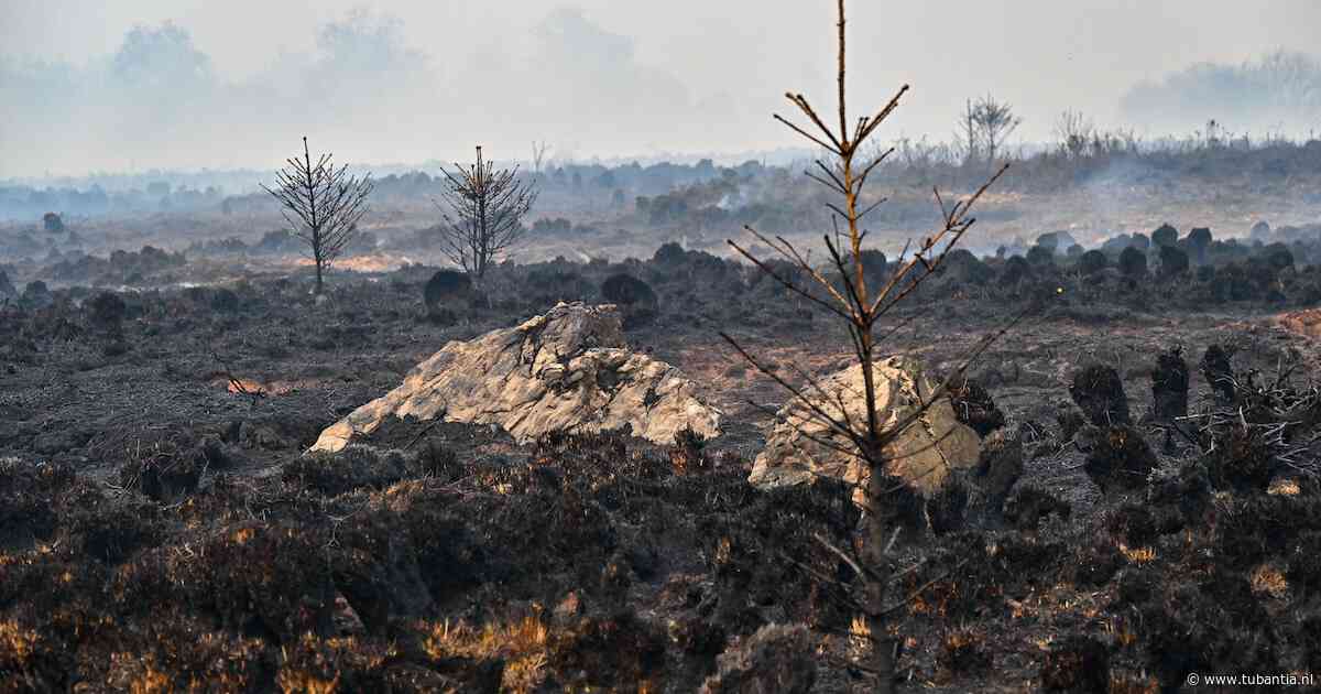 Brand in Hoge Venen groeit uit tot enorme natuurbrand, Nederlanders breken vakantie af