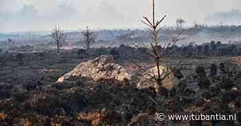Brand in Hoge Venen groeit uit tot enorme natuurbrand, Nederlanders breken vakantie af