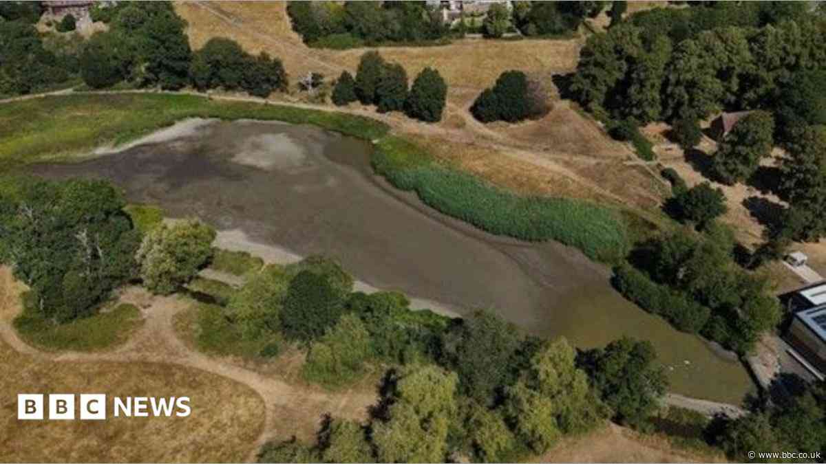 Warning over wildlife and fires after heatwaves
